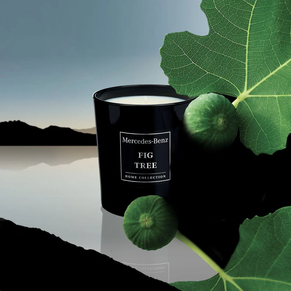 Bougie Mercedes-Benz Fig Tree - Image 3